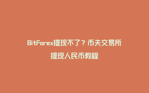 BitForex提现不了？币夫交易所提现人民币教程
