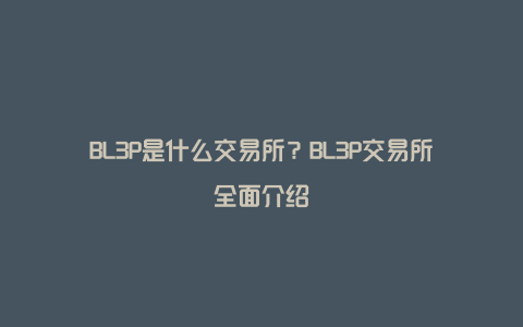 BL3P是什么交易所？BL3P交易所全面介绍