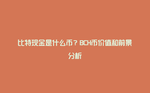 比特现金是什么币?BCH币价值和前景分析