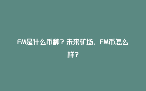 FM是什么币种?未来矿场,FM币怎么样?