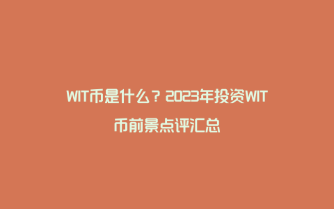 WIT币是什么?2023年投资WIT币前景点评汇总