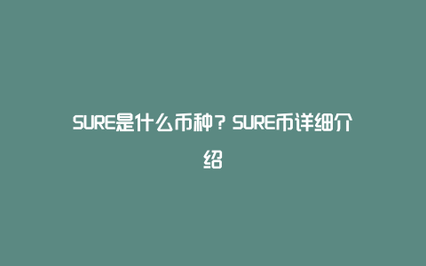 SURE是什么币种？SURE币详细介绍