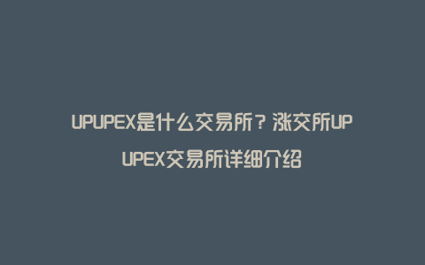 UPUPEX是什么交易所?涨交所UPUPEX交易所详细介绍
