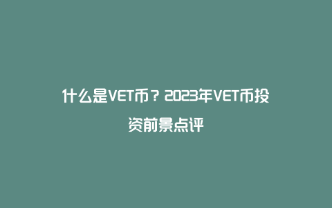 什么是VET币?2023年VET币投资前景点评