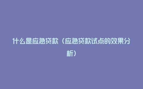 什么是应急贷款(应急贷款试点的效果分析)