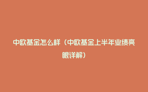 中欧基金怎么样(中欧基金上半年业绩亮眼详解)