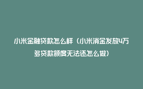 小米金融贷款怎么样(小米消金发放4万多贷款额度无法还怎么做)