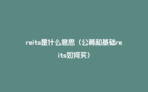 reits是什么意思(公募和基础reits如何买)