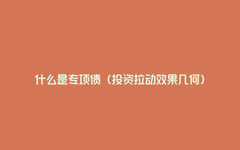 什么是专项债(投资拉动效果几何)