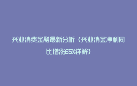 兴业消费金融最新分析(兴业消金净利同比增涨65%详解)