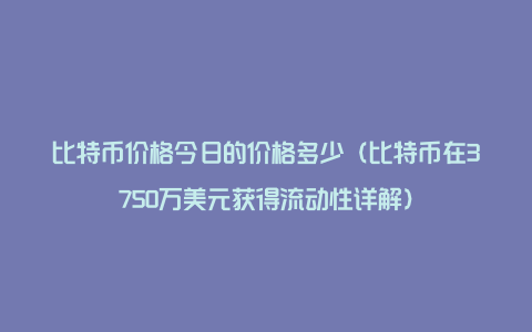比特币价格今日的价格多少(比特币在3750万美元获得流动性详解)