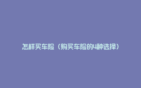 怎样买车险(购买车险的4种选择)