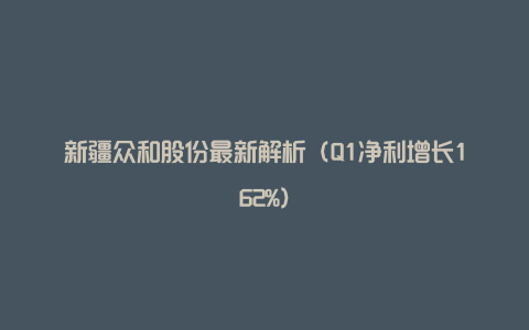 新疆众和股份最新解析(Q1净利增长162%)