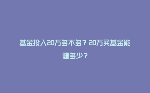 基金投入20万多不多?20万买基金能赚多少?