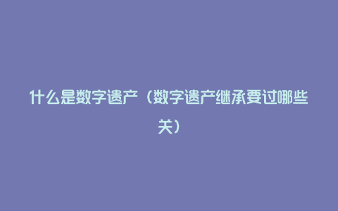 什么是数字遗产(数字遗产继承要过哪些关)