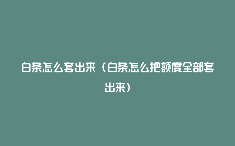 白条怎么套出来(白条怎么把额度全部套出来)