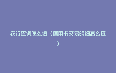 农行查询怎么做(信用卡交易明细怎么查)