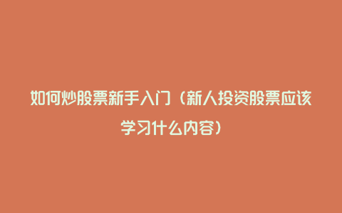 如何炒股票新手入门(新人投资股票应该学习什么内容)