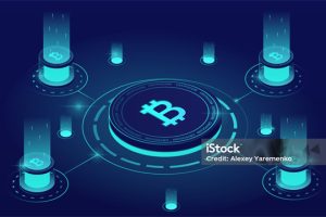 CoolCats的三新策略解读：CoolCats未来的项目亮点