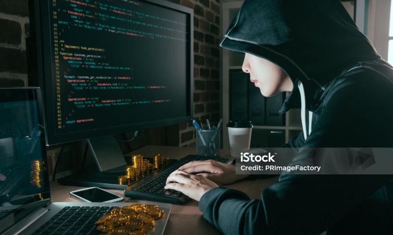 DOWS币在哪些交易平台上线了？交易所一览