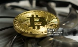 GOVI币发行价是多少？GOVI币的发行价与投资分析