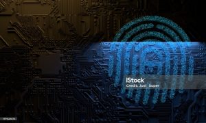 火币矿池能挖什么币？支持的币种和挖矿收益盘点