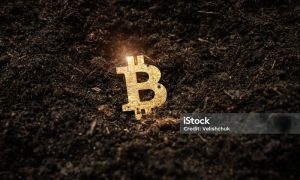 加密货币钱包安全排名2026：Ledger、Trezor、SafePal硬件钱包和小狐狸MetaMask软件钱包全面对比