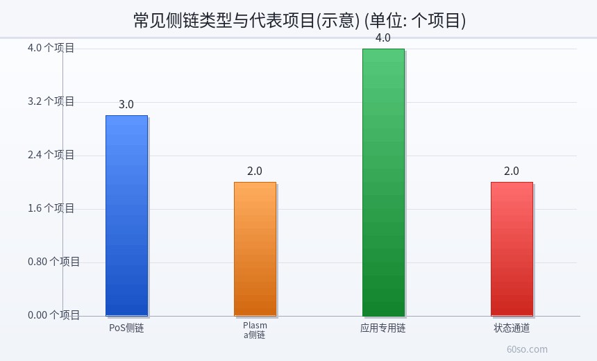 常见侧链类型与代表项目(示意)