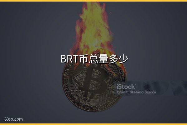 BRT币总量多少?BRT币发行量和最新情况介绍