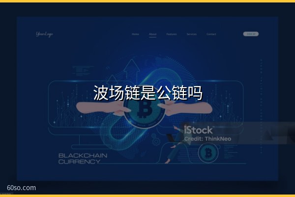 波场链是公链吗?波场链究竟怎么样?官网钱包全解析
