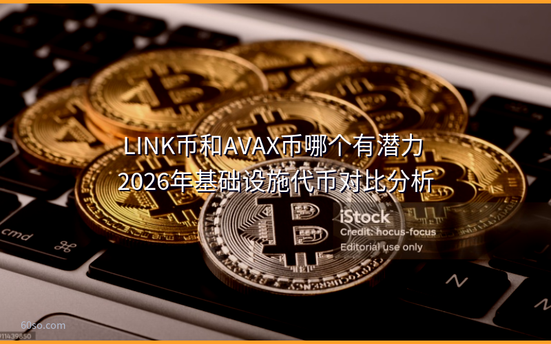 LINK币和AVAX币哪个有潜力 2026年基础设施代币对比分析
