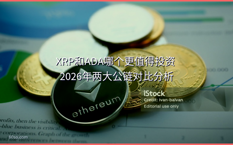 XRP和ADA哪个更值得投资 2026年两大公链对比分析