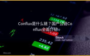 Conflux是什么链?国产公链Conflux全面介绍