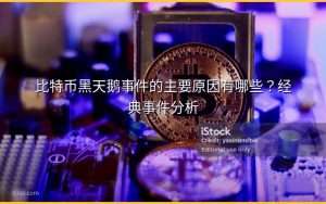 比特币黑天鹅事件的主要原因有哪些？经典事件分析