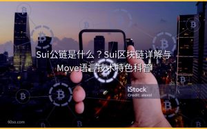 Sui公链是什么？Sui区块链详解与Move语言技术特色科普