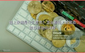 链上数据是什么意思?怎么看链上数据追踪巨鲸动向详解