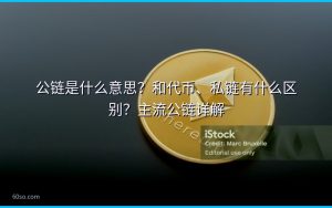公链是什么意思？和代币、私链有什么区别？主流公链详解