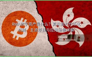RWA数字资产是什么？真实资产代币化机制、主流项目与应用场景详解