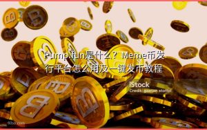 Pump.fun是什么？Meme币发行平台怎么用及一键发币教程