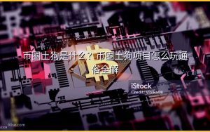 币圈土狗是什么？币圈土狗项目怎么玩通俗全解