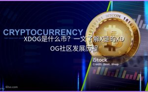 XDOG是什么币？一文了解X链的XDOG社区发展历程