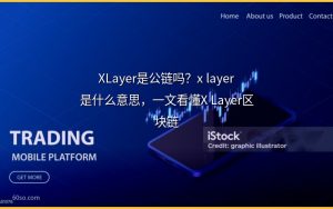 XLayer是公链吗？x layer是什么意思，一文看懂X Layer区块链