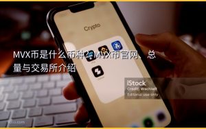 MVX币是什么币种？MVX币官网、总量与交易所介绍