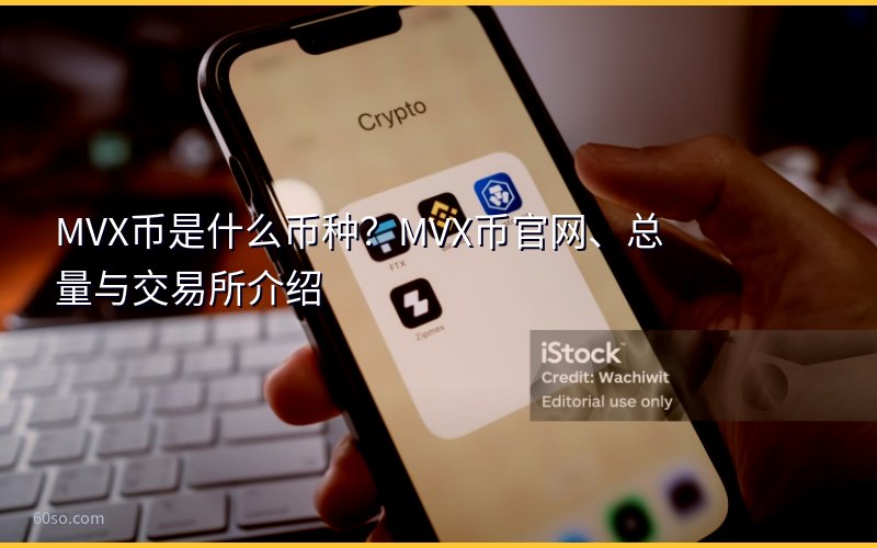 MVX币是什么币种?MVX币官网、总量与交易所介绍