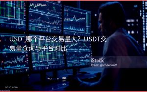 USDT哪个平台交易量大？USDT交易量查询与平台对比
