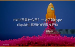 HYPE币是什么币？一文了解Hyperliquid生态与HYPE币发行价