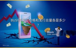 BUSY币发行价格和发行总量各是多少？