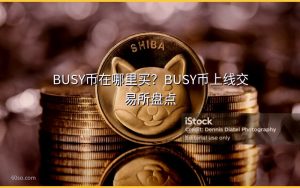 BUSY币在哪里买?BUSY币上线交易所盘点