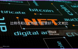 比特币和以太坊哪个前景好？一文对比