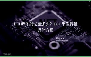 BCH币发行总量多少?BCH币发行量具体介绍